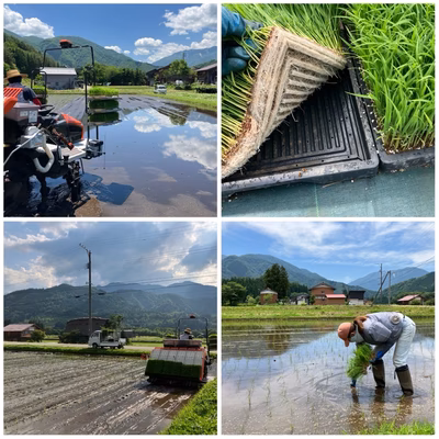 みんなの投稿の画像