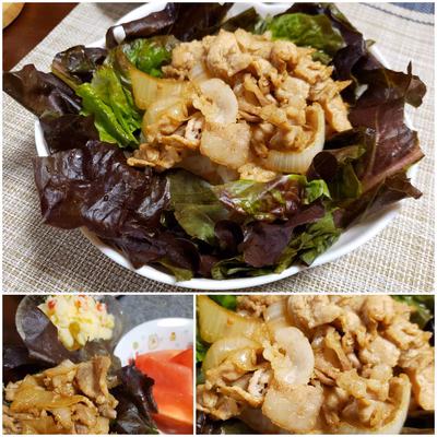 みんなの投稿の画像