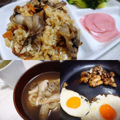 みんなの投稿の画像