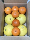 ふぁおの柑橘SSセット『紅色黄色』(お試しサイズ計2kg）ご家庭向き