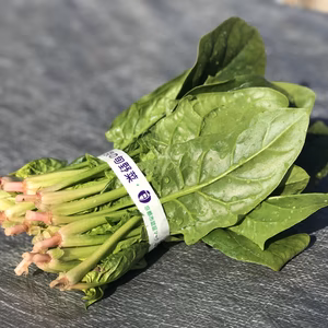 あま〜い！ほうれん草【漢方栽培】