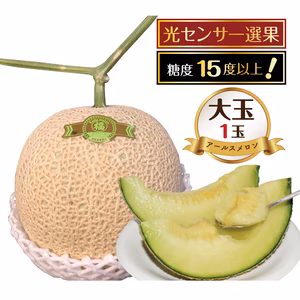 ★少量販売、12/20過ぎ発送★マル福高級アールスメロン大玉1玉計1.8キロ以上