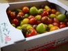 【M1.8】映える！最大22種類カラフルフルーツトマト 　たっぷり1.8㎏