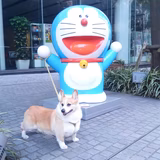 パンチ