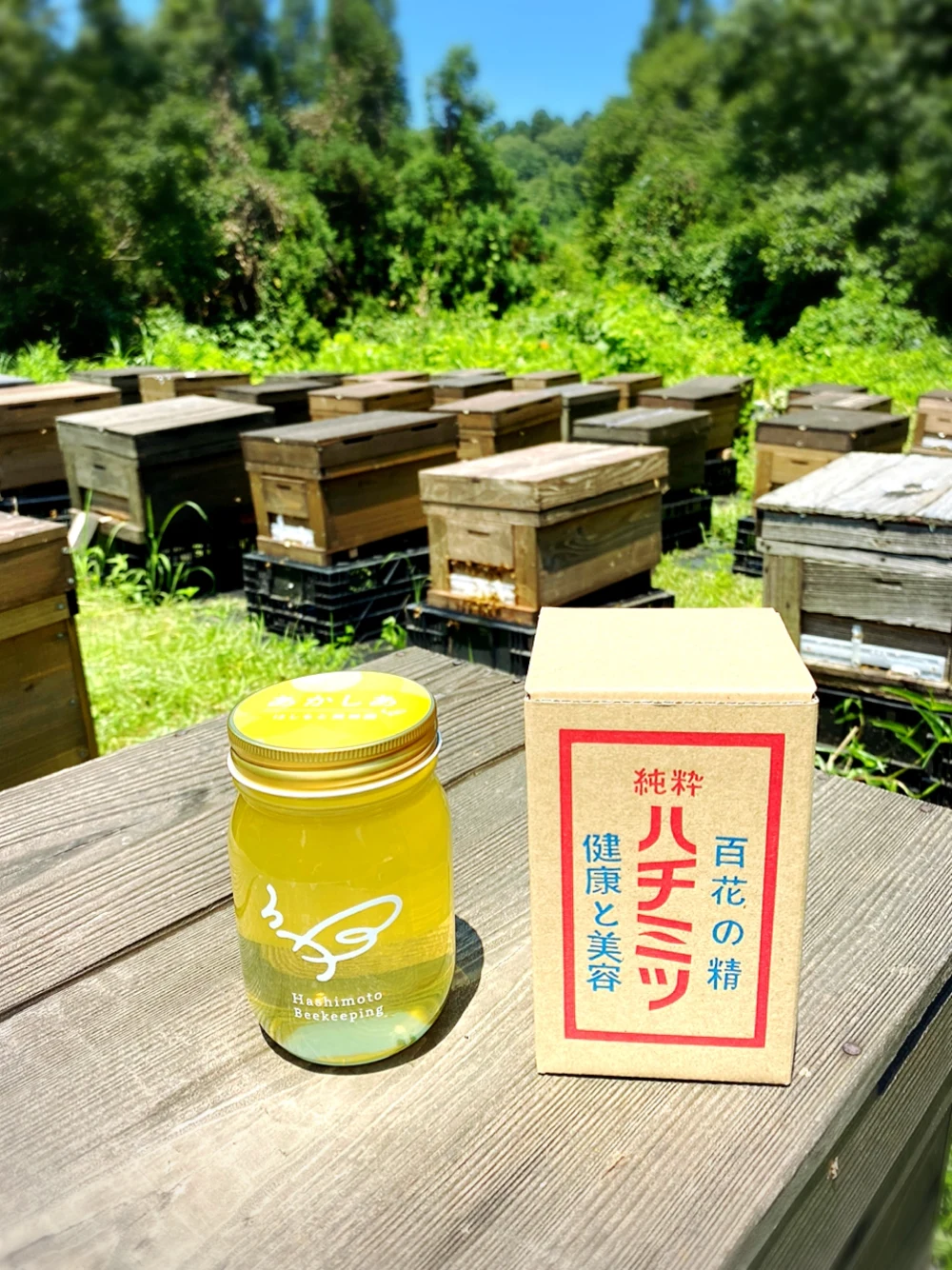 あかしあ　2022年新潟県産蜂蜜　500g