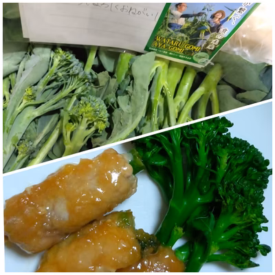 みんなの投稿の画像