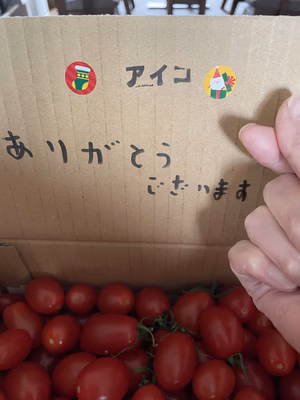 みんなの投稿の画像