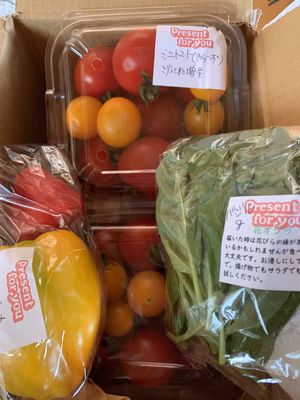 みんなの投稿の画像