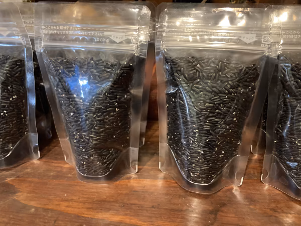 【2025年新米】自然農　黒米　長粒種