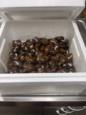 みんなの投稿の画像