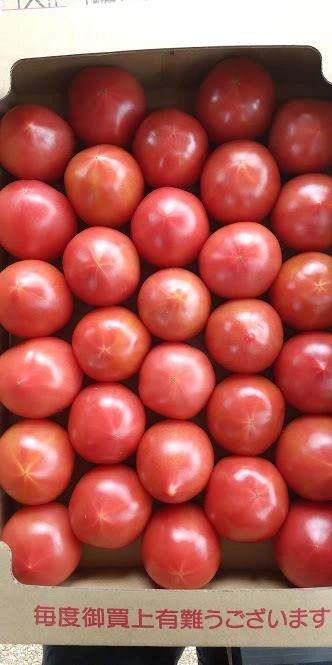 ご要望により、大玉トマトＭ寸出品始めました。『美味しいかどうか解りません！』