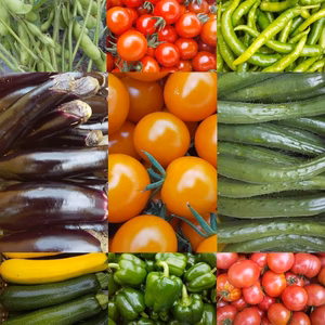 朝採り！無農薬無化学肥料　信州伊那谷★旬の野菜セット 8月 
