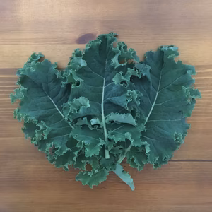 カリーノケール　1kg　＜農薬・化学肥料不使用＞