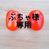 ぶちゃ様専用