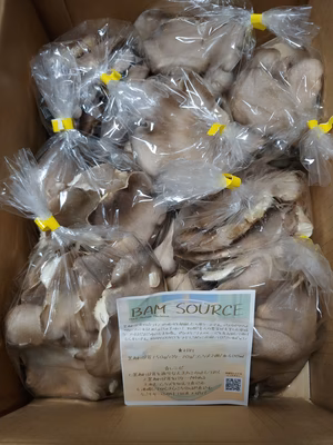 みんなの投稿の画像