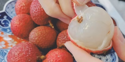 【スタッフ注目の新着商品5/24】100箱限定❗レアな生ライチ✨、びわ🥭など初夏の始まりを楽しもう👍