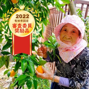 第四弾　とみ子ばぁばの有田みかん　糖度12度以上