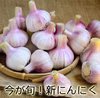 今が旬！紫新にんにく（栽培期間中農薬・化学肥料不使用）