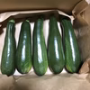 【期間限定！】自然栽培・固定種ズッキーニ(1kg〜)