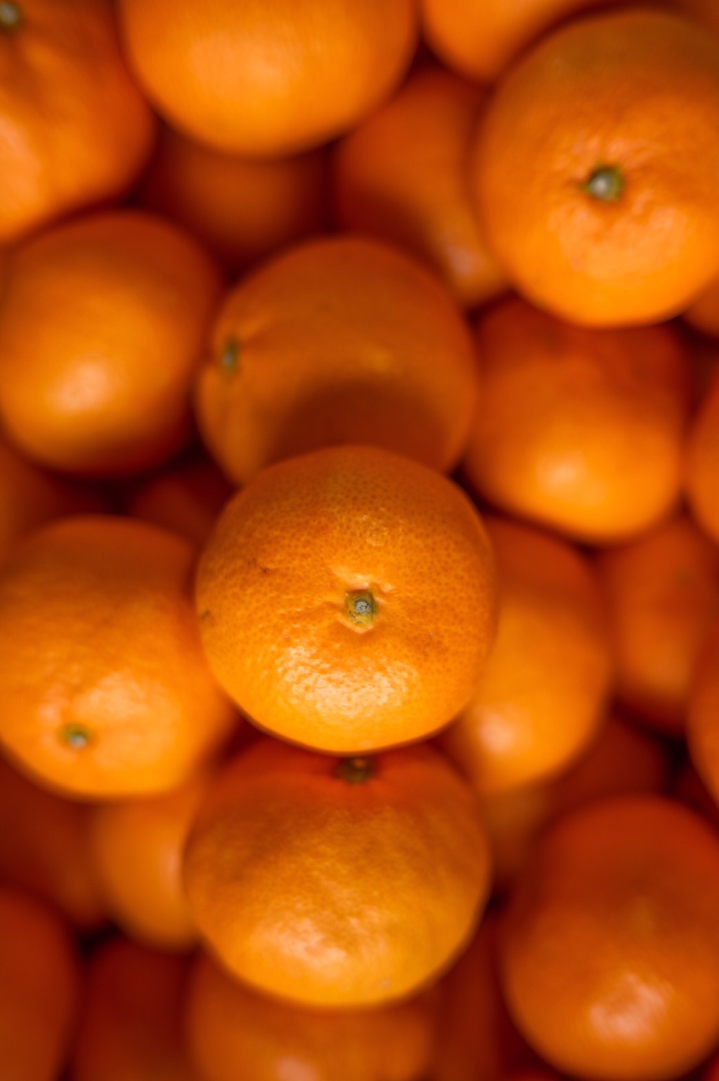 まるたま訳ありみかん5kg×2箱 リピーター様の声から生まれました 混サイズ5kg×2箱