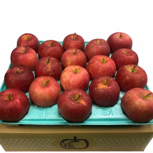 「おまたせっ」葉とらずほのかフジ家庭用約4.5Kg青森県産