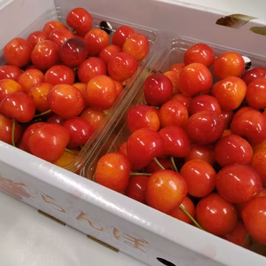 さくらんぼ紅秀峰　Ｌサイズたっぷり１キロ