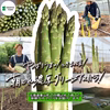 北海道栗山町産 太め3L～Lサイズ！ 春の朝どれ濃厚グリーンアスパラ