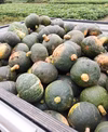 【5周年福袋】カボチャ3種食べ比べセット[栽培期間中農薬、化学肥料不使用]