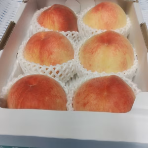 《数量限定》香川県産　桃　加納岩白桃