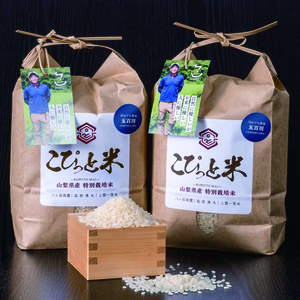 9月初旬～発送《新米》R7年産【五百川】白米・4kg　特別栽培米　こぴっと米
