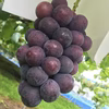 美味しいブドウ詰め合わせセット！