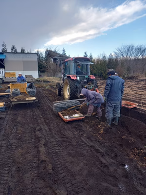 みんなの投稿の画像