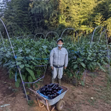 相川 将 | まみさ農園