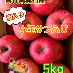 青森県産サンふじりんご(小玉5キロ)