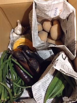 みんなの投稿の画像