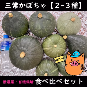 ホクホク三常かぼちゃ２～３種３ｋｇ以上食べ比べセット★