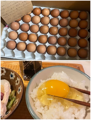 みんなの投稿の画像