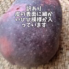 常温便】訳あり デストロイヤー&タワラマゼラン食べ比べ計1.5kg 8-18個程