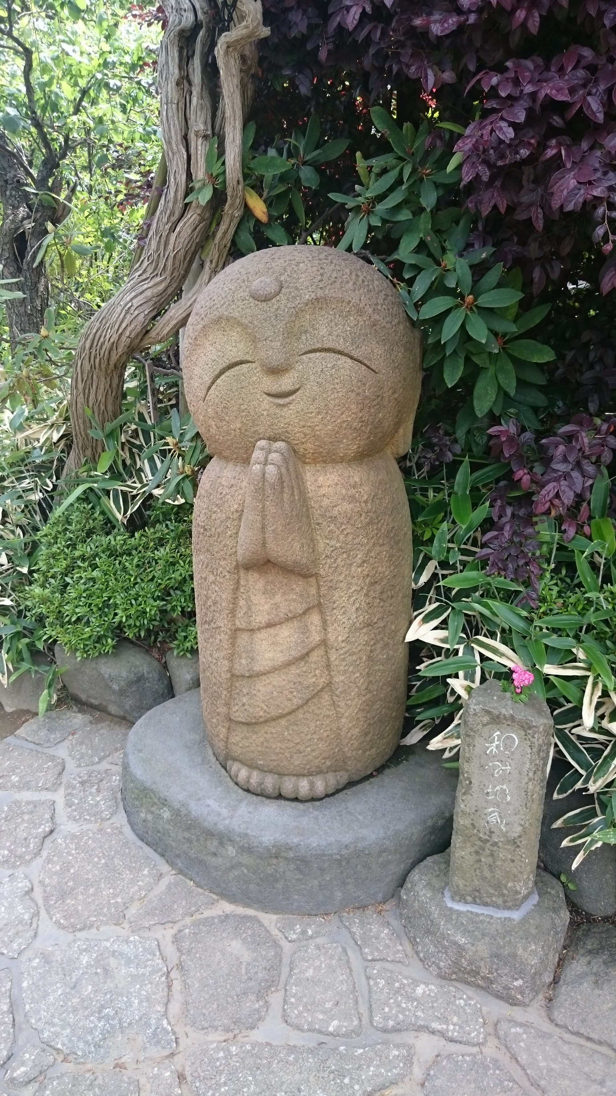 埼玉県川越市｜たばちゃん農園｜田畑 桃代さんのみんなの投稿