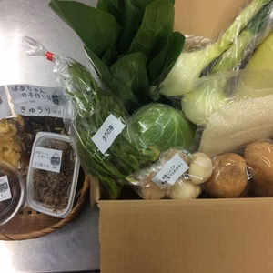 元気やさい雅　お米・野菜・漬物の詰め合わせ