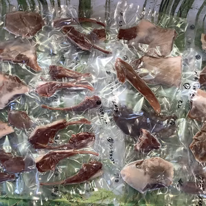 大勢でのBBQに！子猪ブロック肉各部位2kg　4/27出品