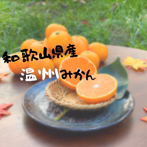 ◎送料無料◎ じゅわ〜っと甘酸っぱい 和歌山県産 温州みかん ご家庭用