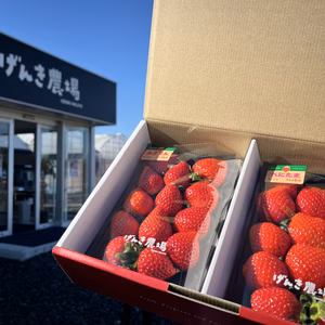 【最高金賞コンビ】「あまりん」「べにたま」贅沢ないちご食べ比べ♪