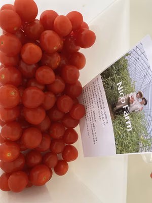 みんなの投稿の画像