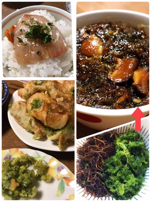 みんなの投稿の画像