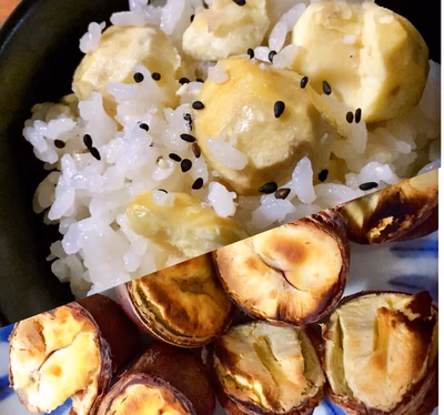 みんなの投稿の画像