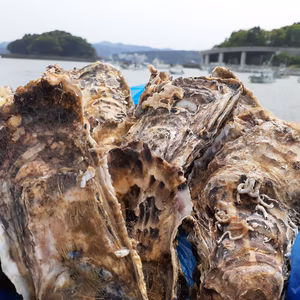 三陸直送！お家で牡蠣小屋気分！2年牡蠣Lサイズ5㎏生食用専用ナイフ片手軍手付き！