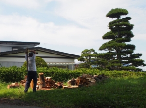 14188627_1197248090340264_8909237326315394938_o