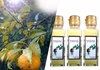 ゆず果汁　ゆずプレミアム果汁３本（100ｍｌ×３本農薬：栽培期間中不使用）