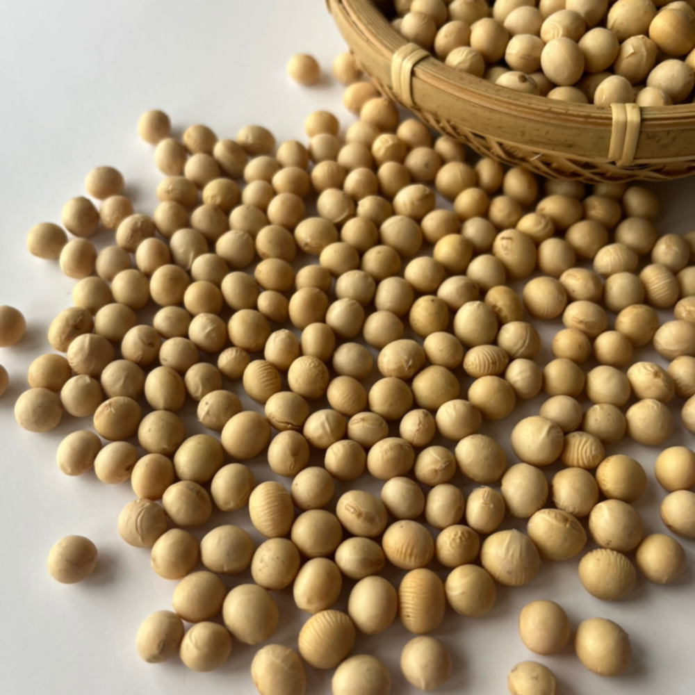 北海道十勝産】ユキホマレ 大豆 1kg 令和6年度産｜大豆の商品